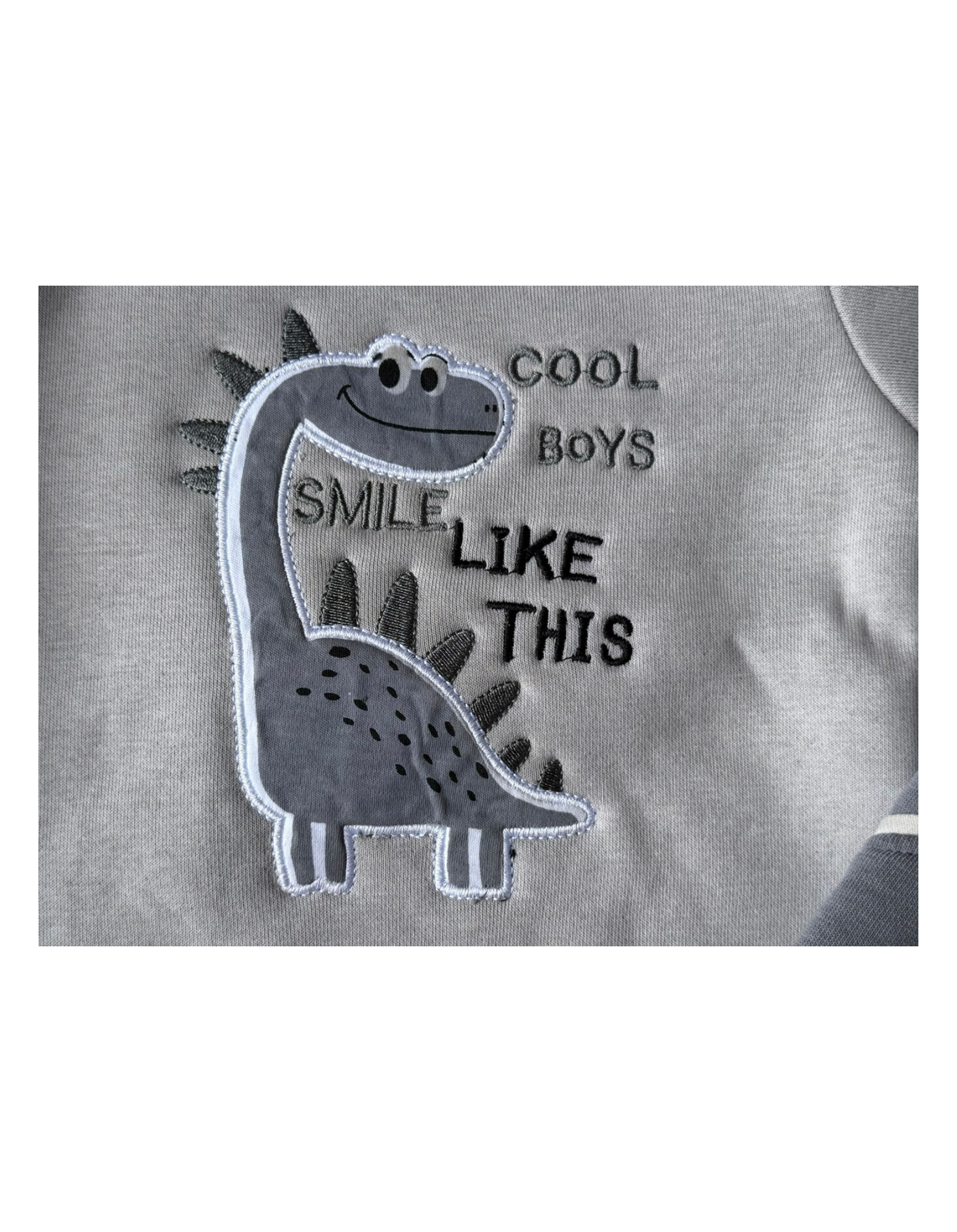 👶 Cool Boys Dino Sweatshirt & Pant Set