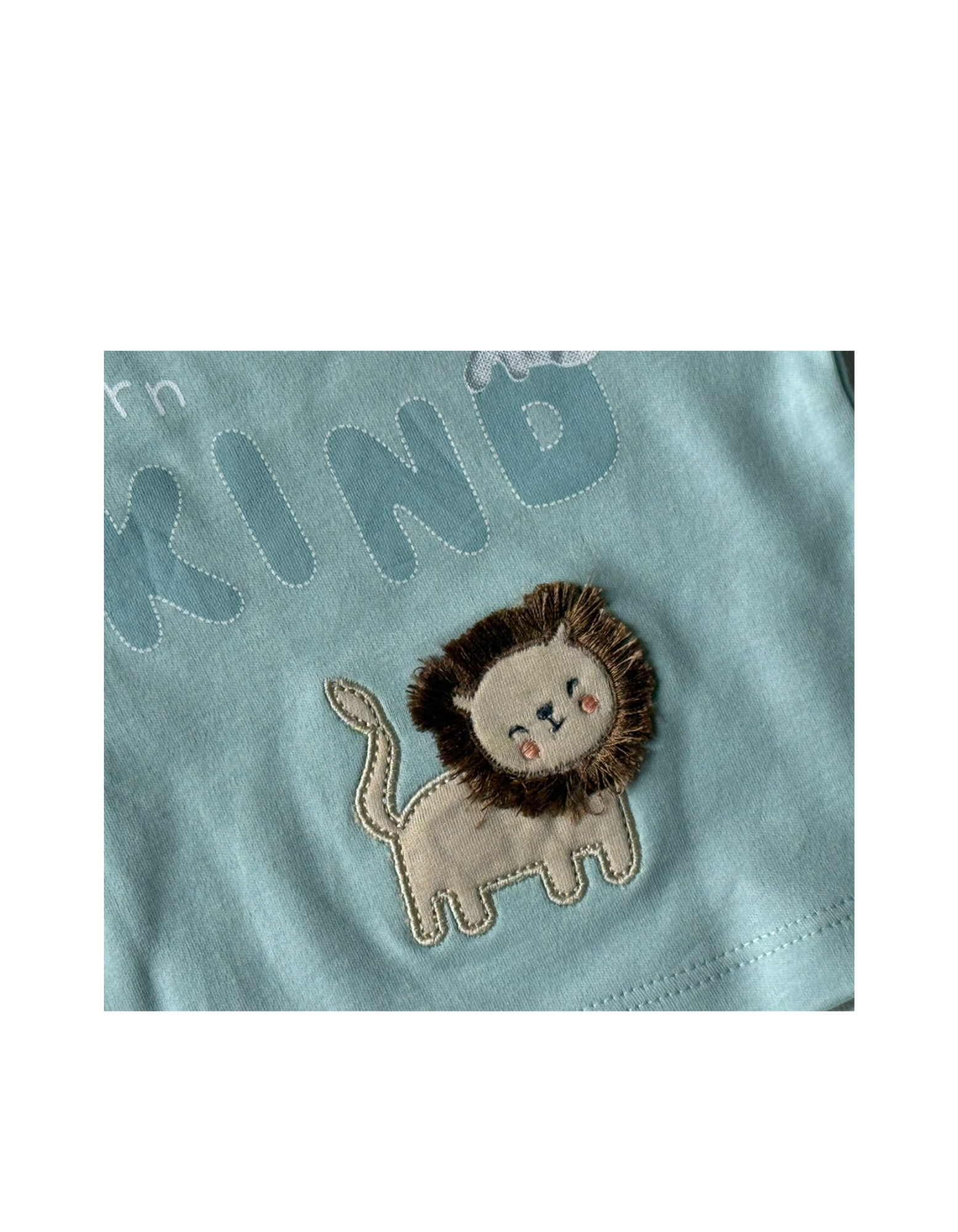🦁 Adorable Baby Boy Outfit – “Born Kind” Lion Set