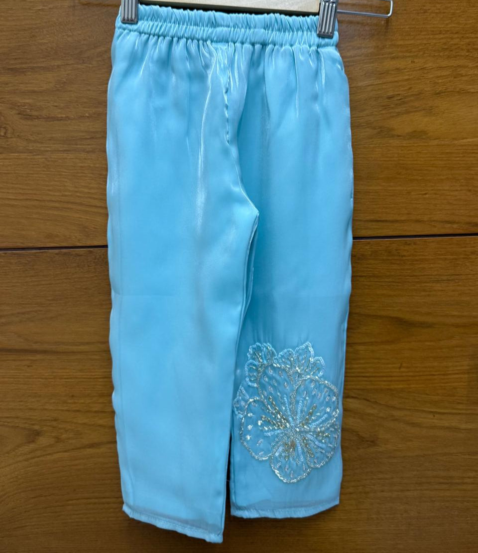 Chic sky blue ethnic set with floral embroidery — perfect for festive sparkle!